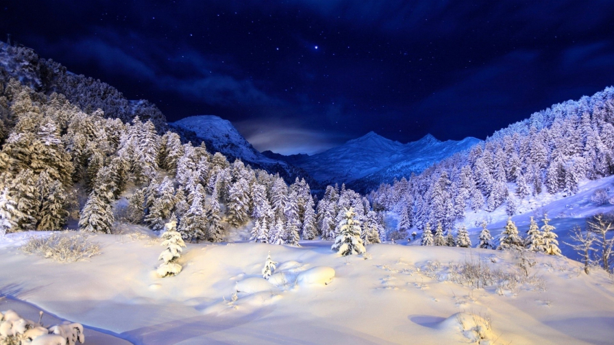 Beautiful Night Winter Forest