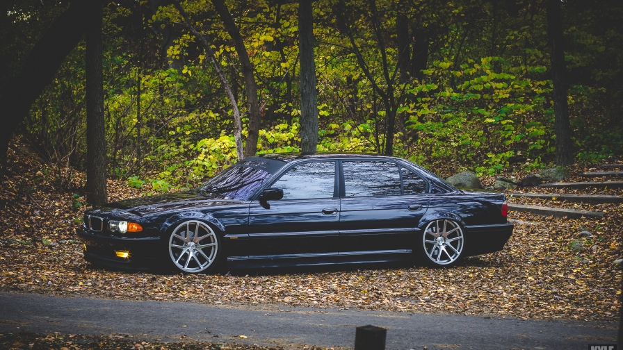 Beautiful Old Black Car in Autumn Forest