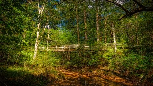 Beautiful Old Bridge in Green Trees