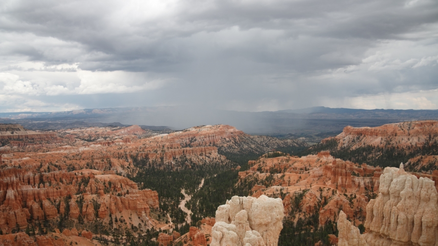 Beautiful Orange Canyon and Grass