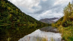 Beautiful Pure Lake and Grass in Reflection