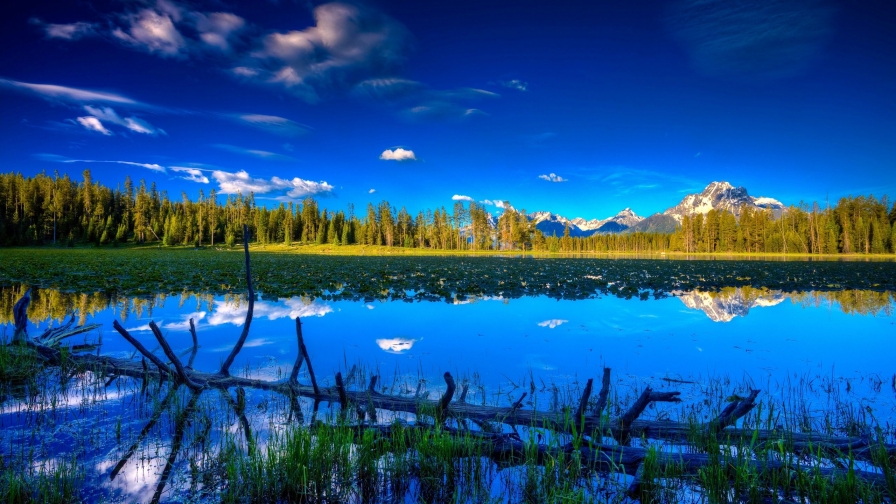 Beautiful Pure Lake and Green Pine Forest in Valley