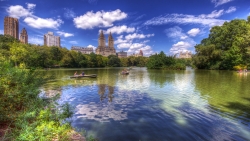 Beautiful Pure Lake in Central Park New York