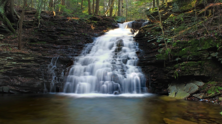 Beautiful pure waterfall and river in green forest