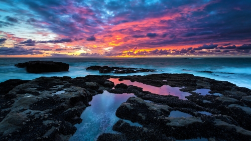Beautiful Purple and Blue Sunset on Sea