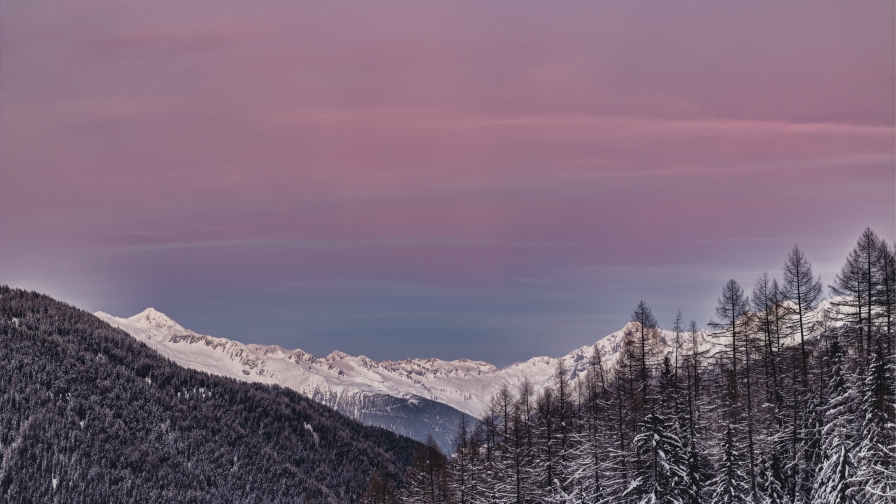 Beautiful Purple Sky and Clouds