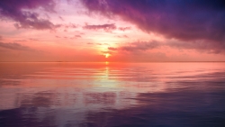 Beautiful Purple Sunset on Lake