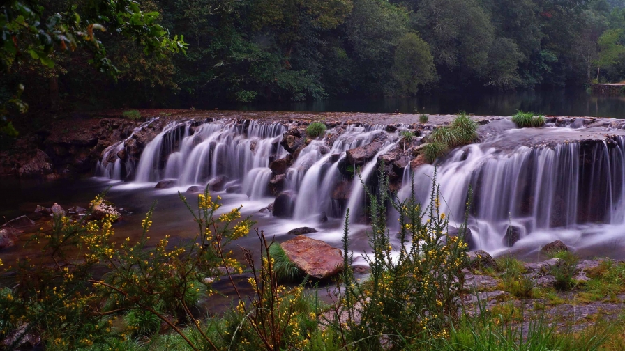 Beautiful purple waterfall