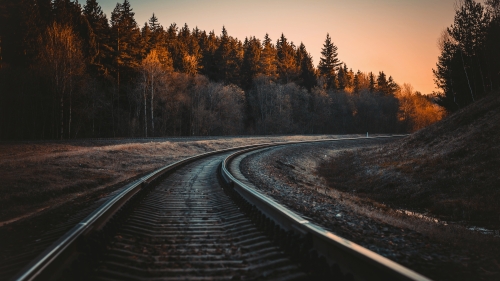 Beautiful Railroad in Spruce Forest and Sunset