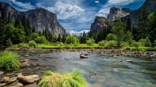 Beautiful River in Mountains Valley and Trees