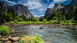 Beautiful River in Mountains Valley and Trees