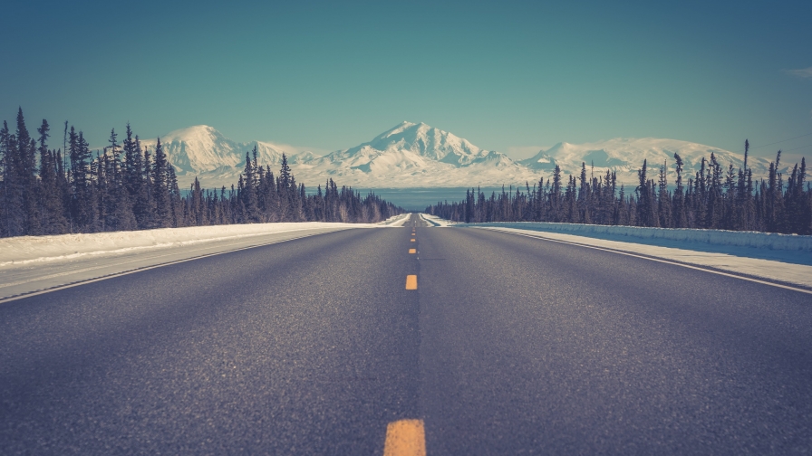 Beautiful Road in Alaska Forest