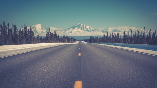 Beautiful Road in Alaska Forest