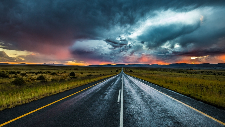 Beautiful Road in Field