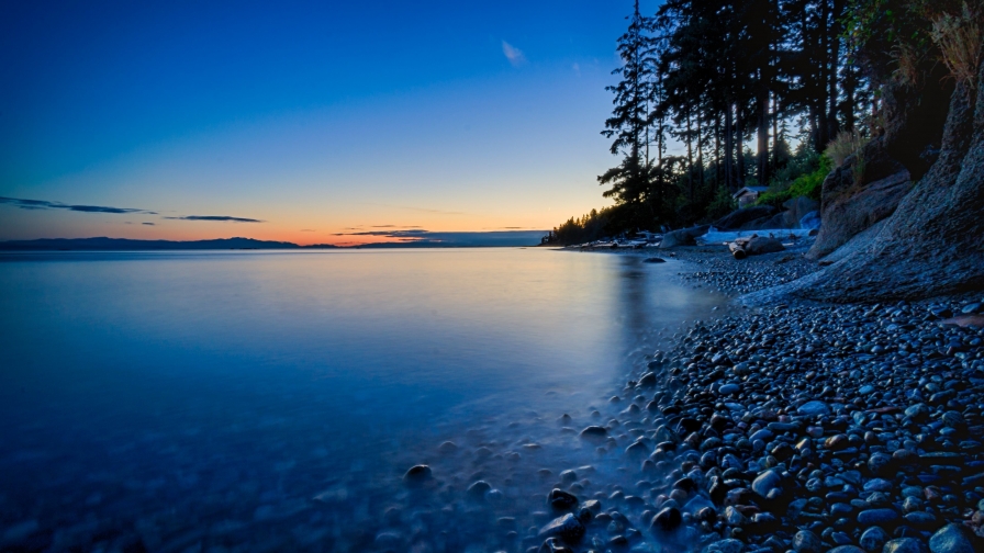 Beautiful Rocks in Water on Coast and Forest