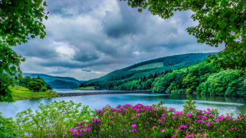 Beautiful Sky and Green Forest Around River