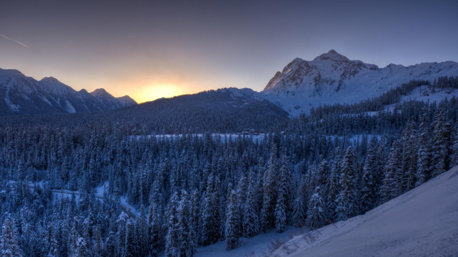 Beautiful Snow Covered Forest in Mountain Valley