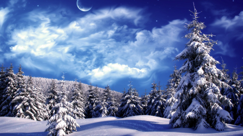 Beautiful Snowy Spruce Forest and Moon in Sky
