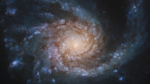 Beautiful Spiral Galaxy Nebula
