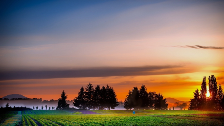 Beautiful Sunrise and Fog