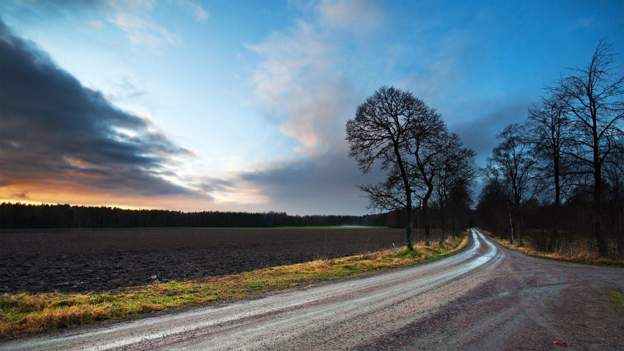 Beautiful Sunset and Clear Field