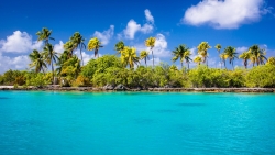 Beautiful Tropical Beach and Palms Trees