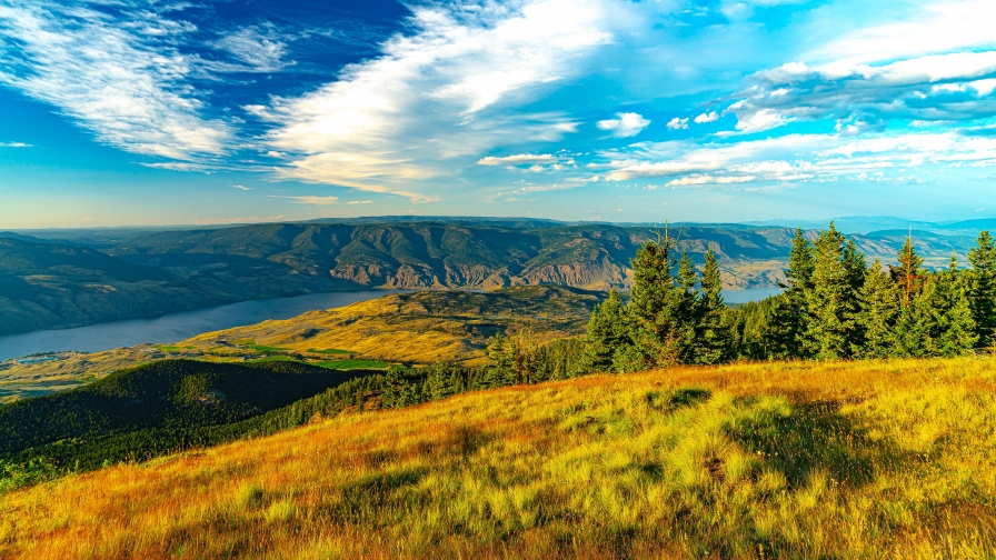 Beautiful Valley and Yellow Grass