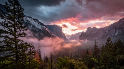 Beautiful Valley in Yosemite National Park