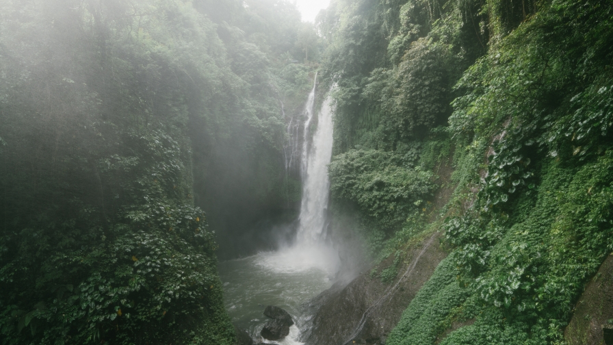 Beautiful Waterfall in Green Forest and Fog