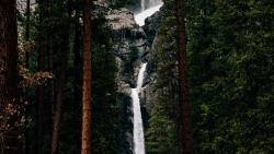 Beautiful Waterfall in Pine Forest