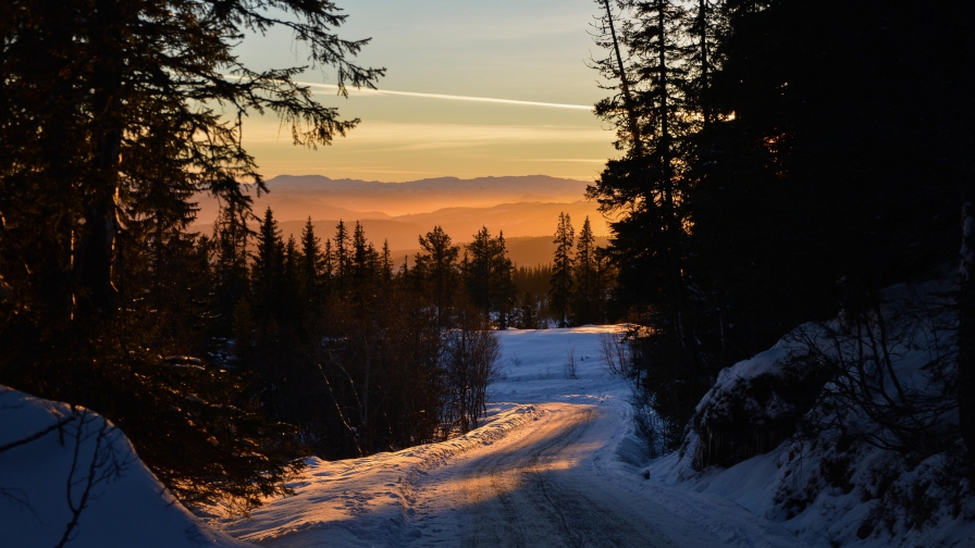 Beautiful Winter Forest Road and Sunset