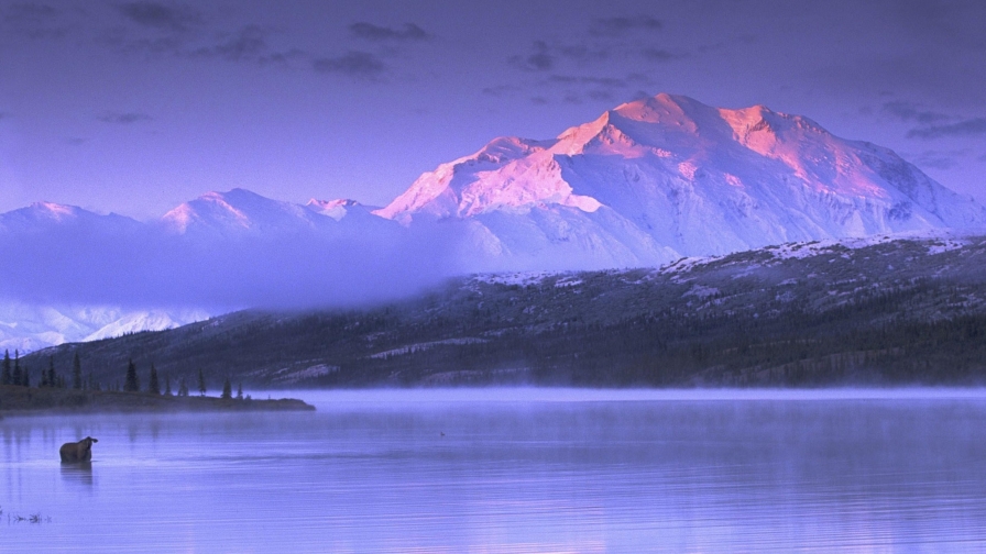 Beautiful Winter in Alaska Under White Sky