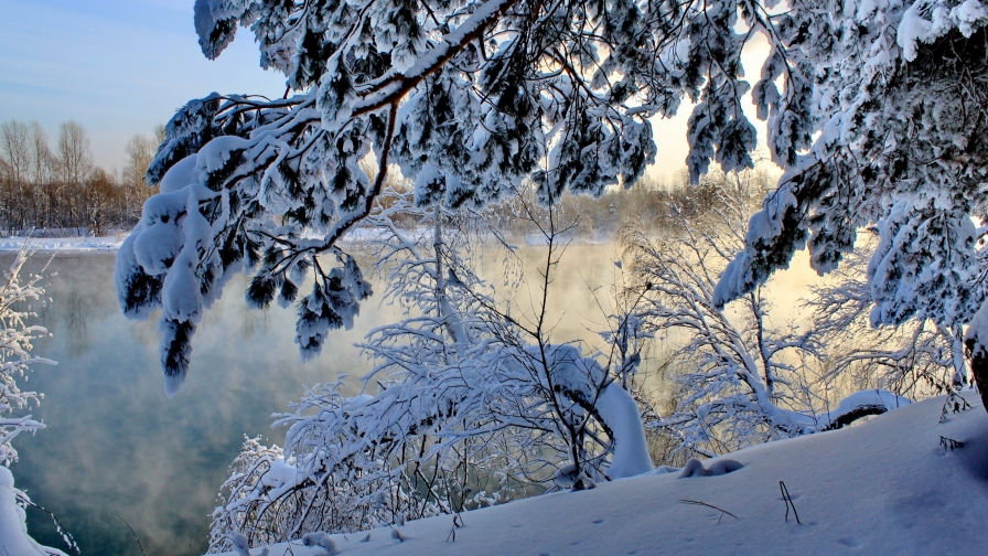 Beautiful Winter Snowed Forest and Field