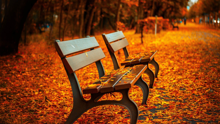 Benches in the Park