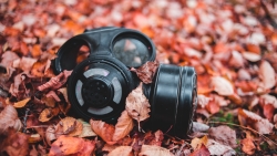 Black Gasmask on Yellow Dried Leaves