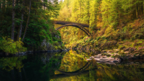 Bridge Between Green Trees with Reflection on River