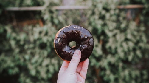 Chocolate Doughnut in Hand