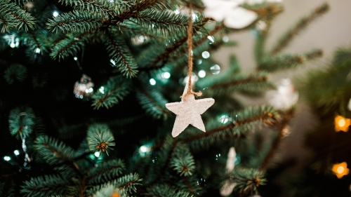 Christmas Tree and Star Decoration