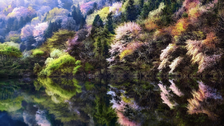 Colorful Autumn Forest and Reflection on River