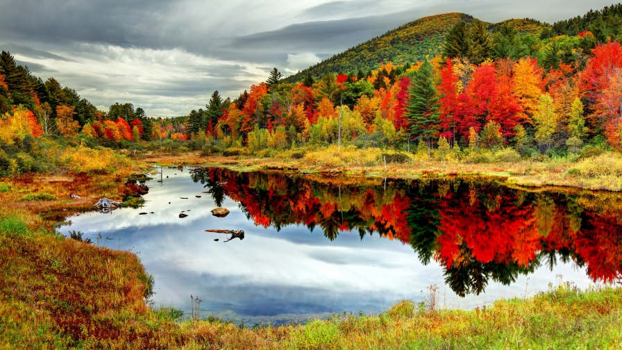 Crystal lake in autumn forest