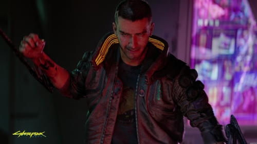 Cyberpunk 2077 V