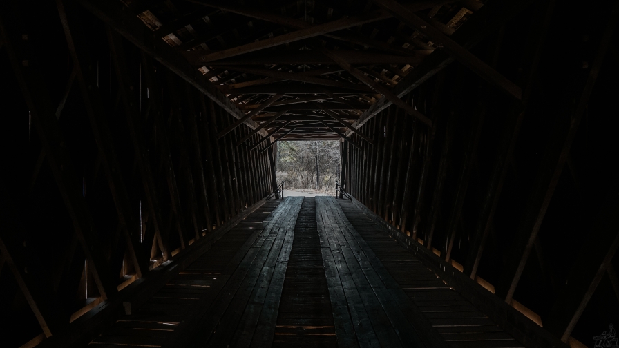 Dark Wooden Tunnel and Forest