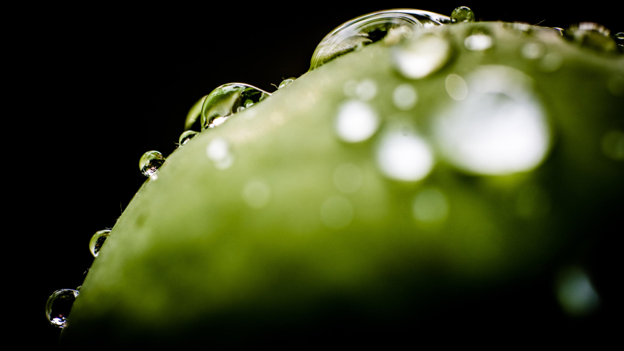 Drops Macro Photo and Dark