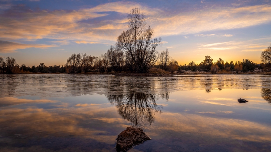 Dusk Tree and Reflection on Lake