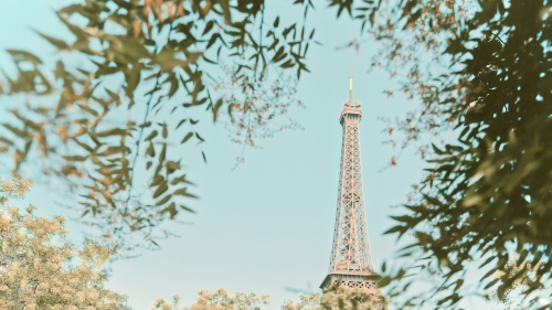 Eiffel Tower in Paris During Daytime