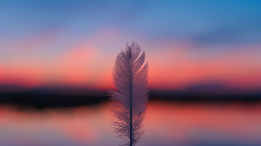 Focus on Feather and Blur Sunset