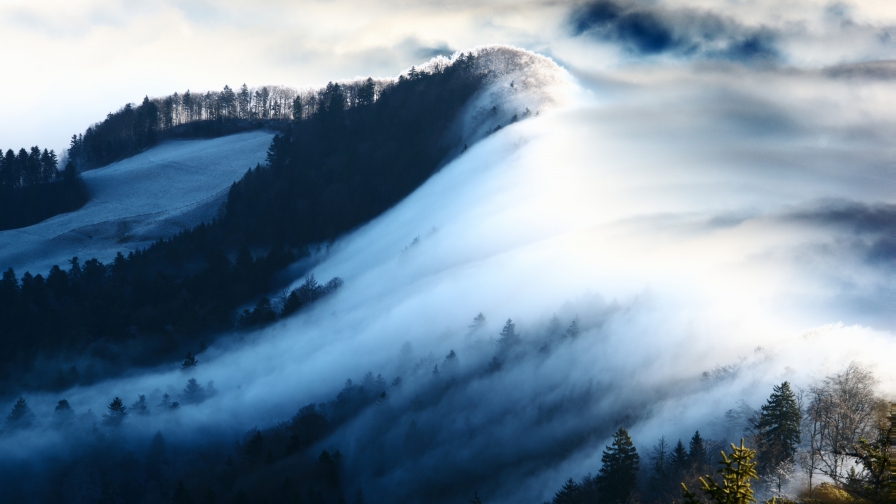 Foggy Mountains and Forest