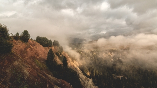 Foggy Mountains Peaks and Pine Forest