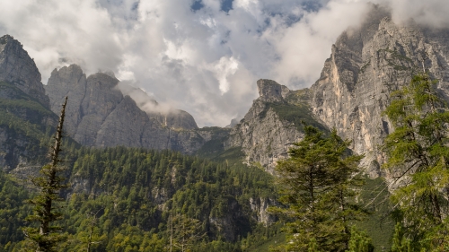 Forest and mountains tops