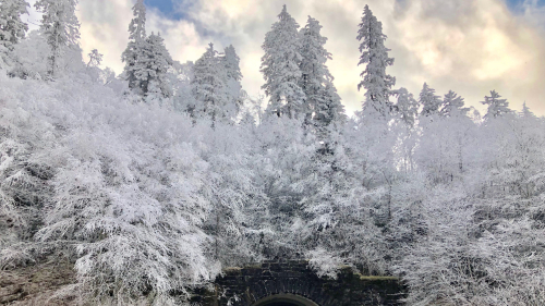 Frosty Trees and Old Bridge